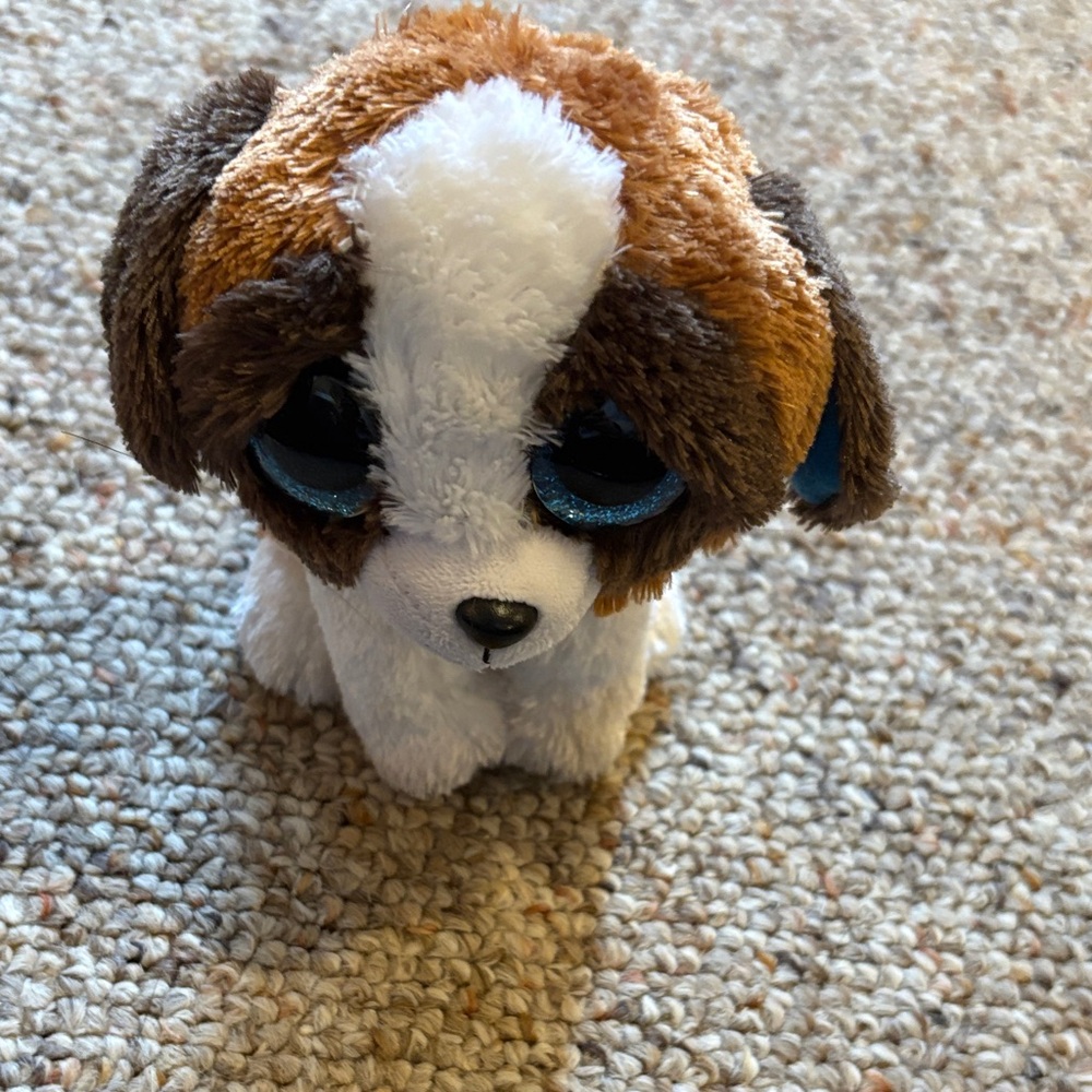 Duke beanie Boo